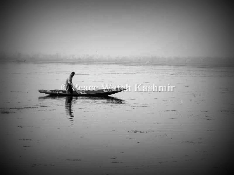 Peacewatchkashmirimage (7).jpg